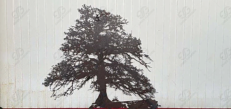 corten-steel-garden-tree-sculpture-gn-ss-201