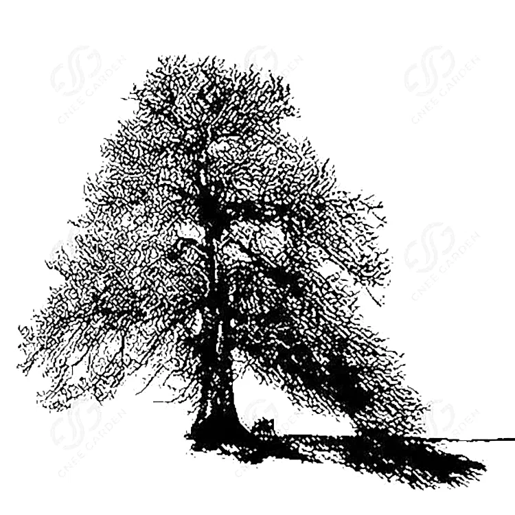 drawings-corten-steel-garden-tree-sculpture-gn-ss-201